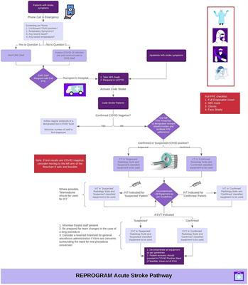 Acute Neurological Care in the COVID-19 Era: The Pandemic Health System REsilience PROGRAM (REPROGRAM) Consortium Pathway